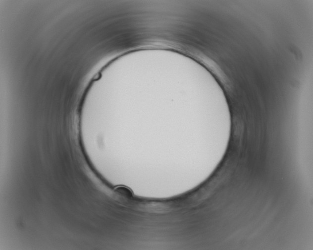 X0000112961476200910081035