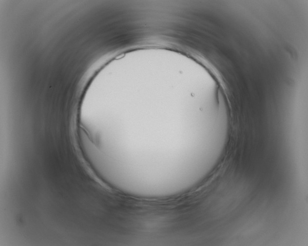 X0000112961477200910081035