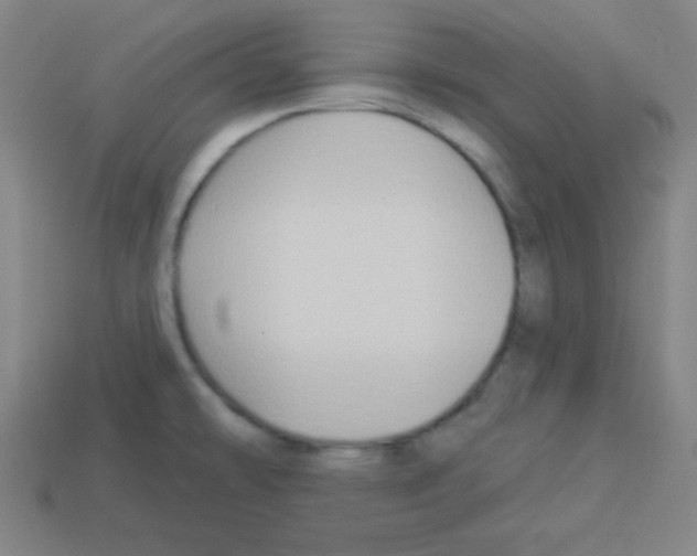 X0000112961478200910081035