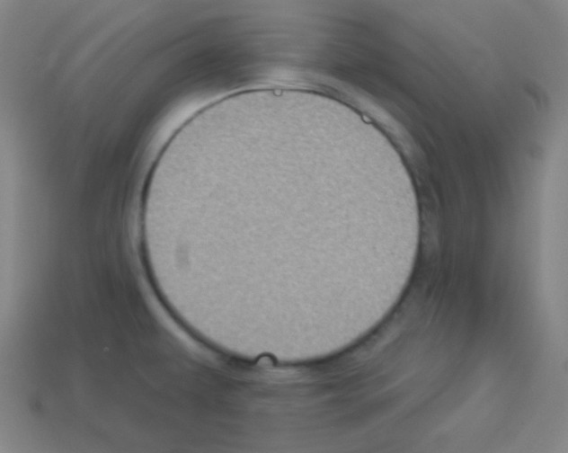 X0000112961479200910081035