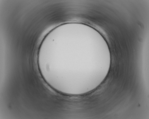 X0000112961480200910081035