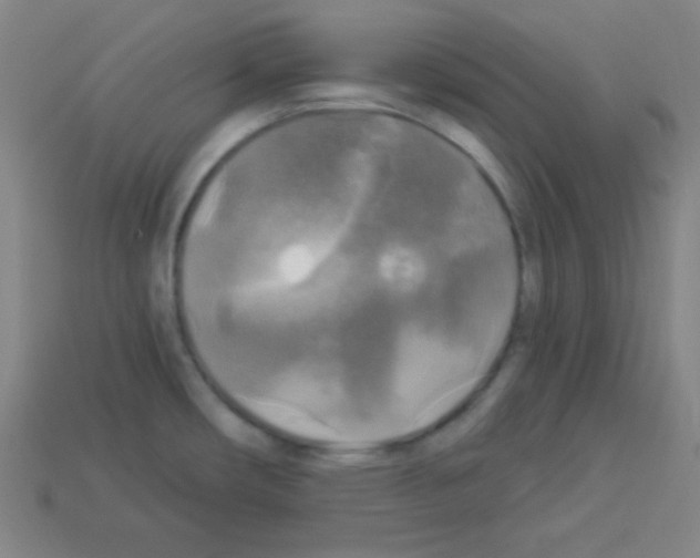 X0000112961482200910081035