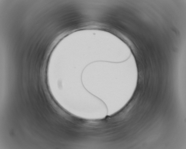 X0000112961483200910081035