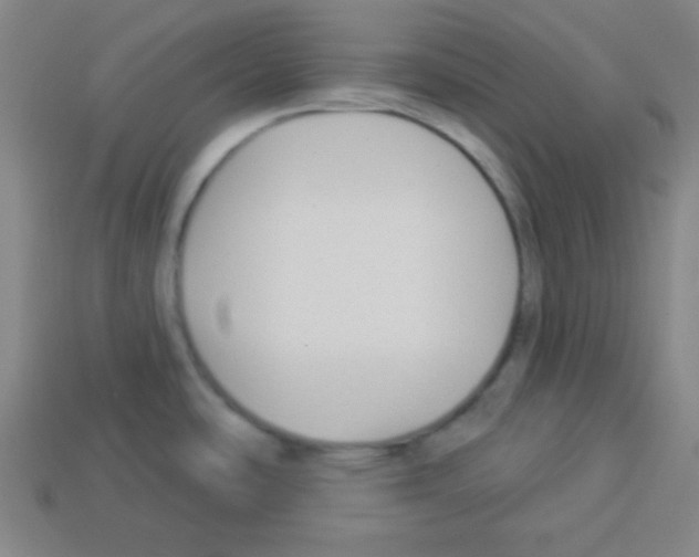 X0000112961486200910081035