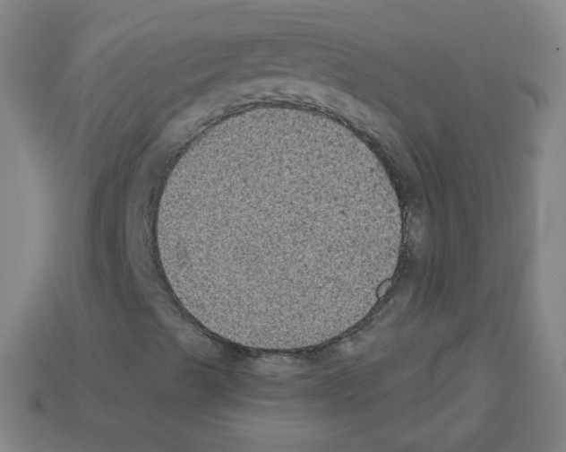 X0000112961489200910081034