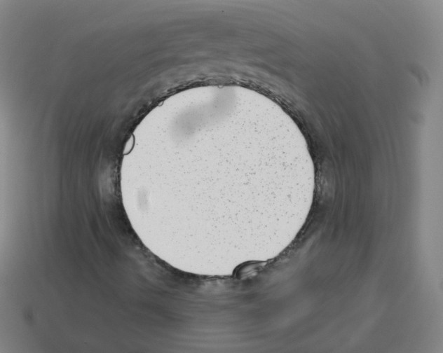 X0000112961490200910081034