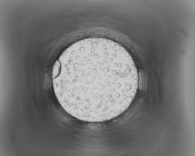 X0000112961491200910081034