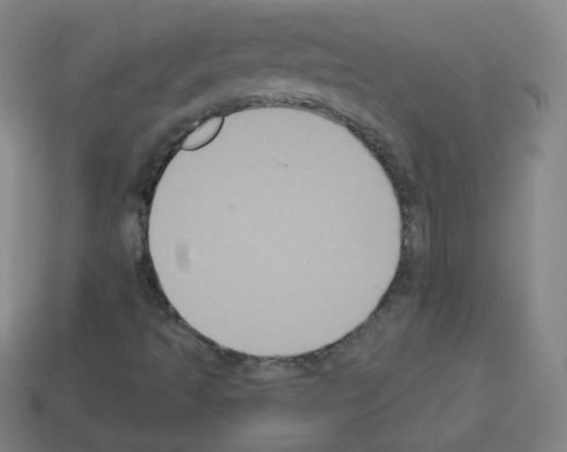 X0000112961493200910081034