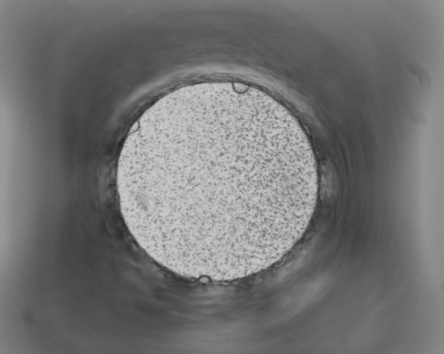 X0000112961494200910081034