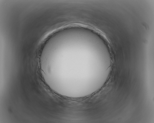 X0000112961496200910081034