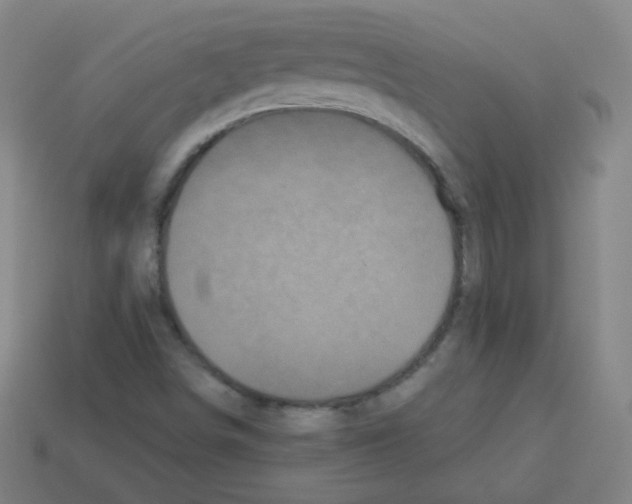 X0000112961498200910081034