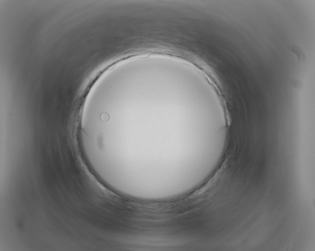 X0000112961500200910081034