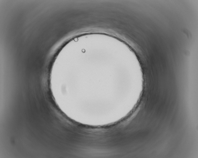 X0000112961502200910081034