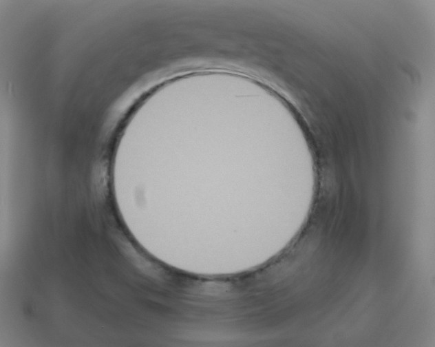 X0000112961503200910081034