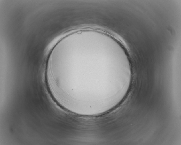 X0000112961504200910081035