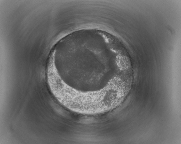 X0000112961505200910081035