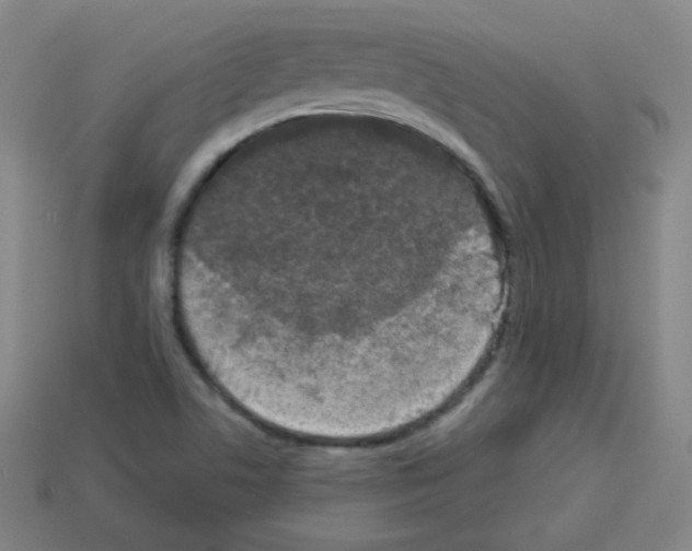 X0000112961506200910081035