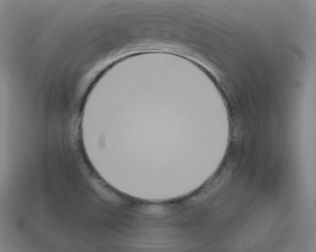 X0000112961507200910081035