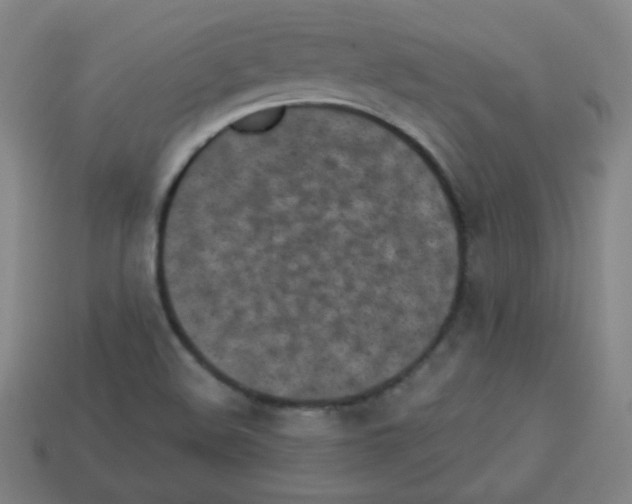 X0000112961508200910081035