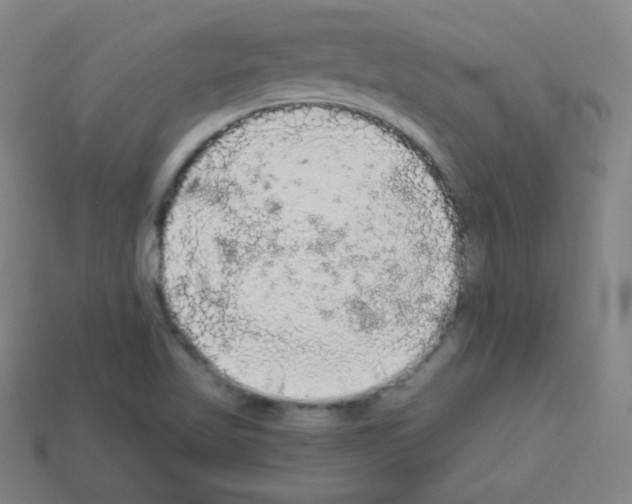 X0000112961509200910081035