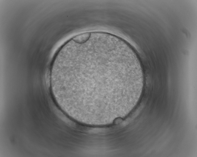 X0000112961510200910081035