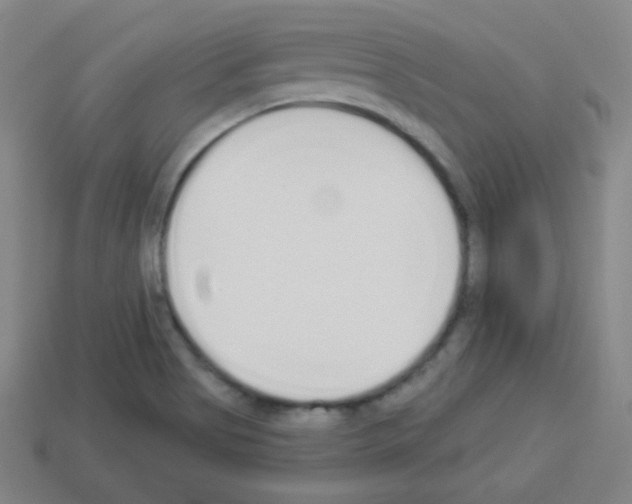 X0000112961513200910081035