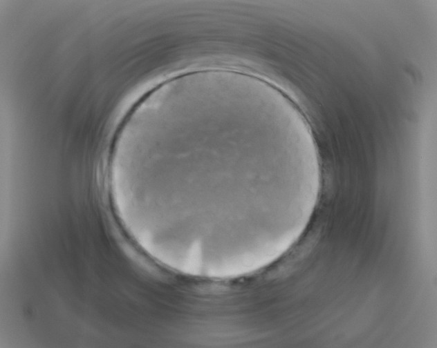 X0000112961515200910081035