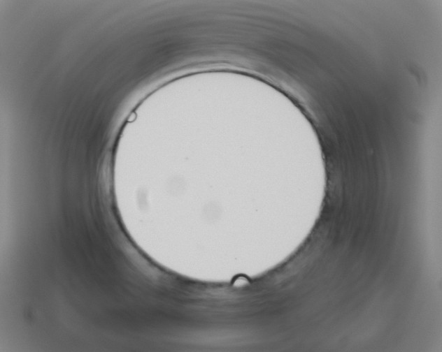 X0000112961516200910081035