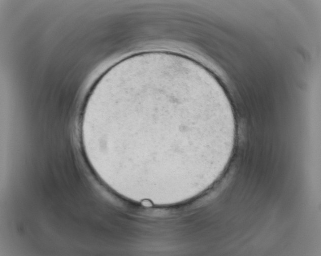 X0000112961517200910081035