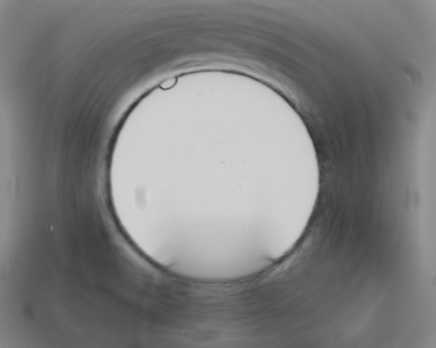 X0000112961518200910081035