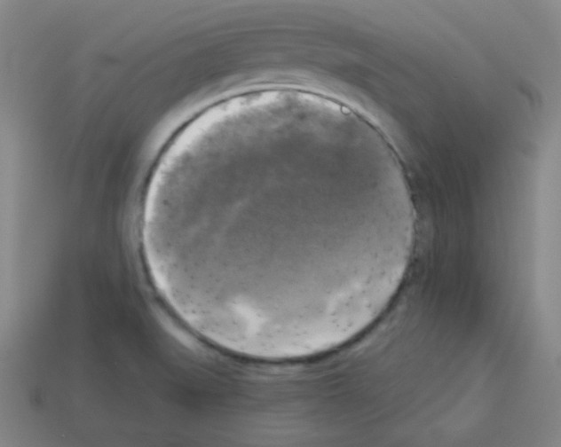 X0000112961519200910081035