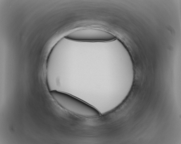 X0000112961520200910081035