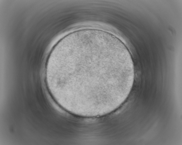 X0000112961523200910081035