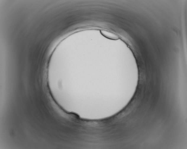 X0000112961524200910081035