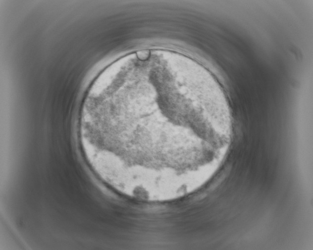 X0000112961525200910081035