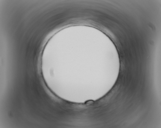 X0000112961528200910081035