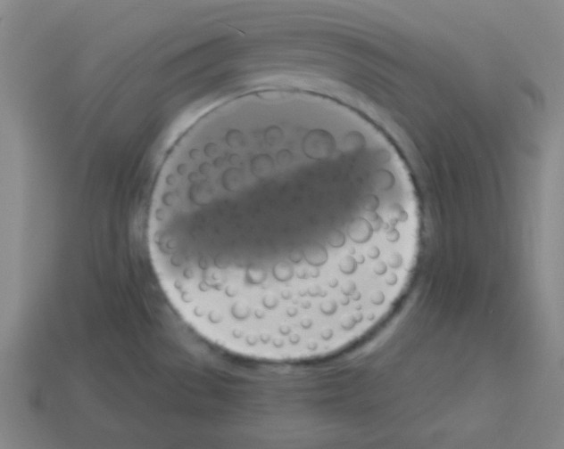 X0000112961529200910081035