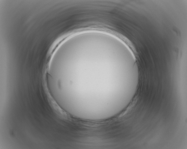 X0000112961530200910081035