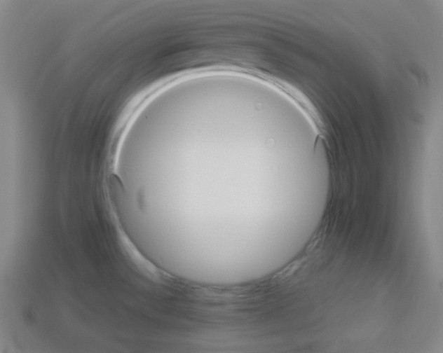 X0000112961532200910081035