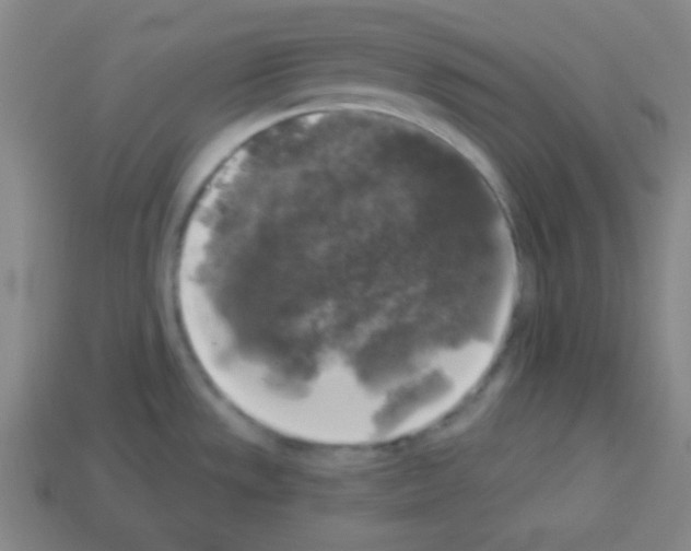 X0000112961533200910081035