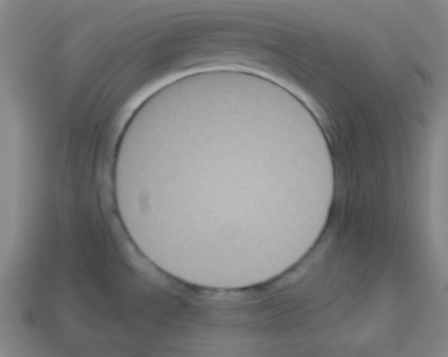 X0000112961534200910081035