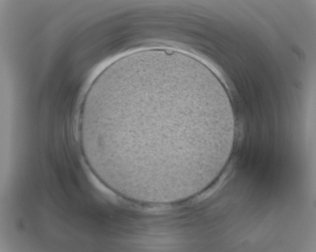 X0000112961535200910081035