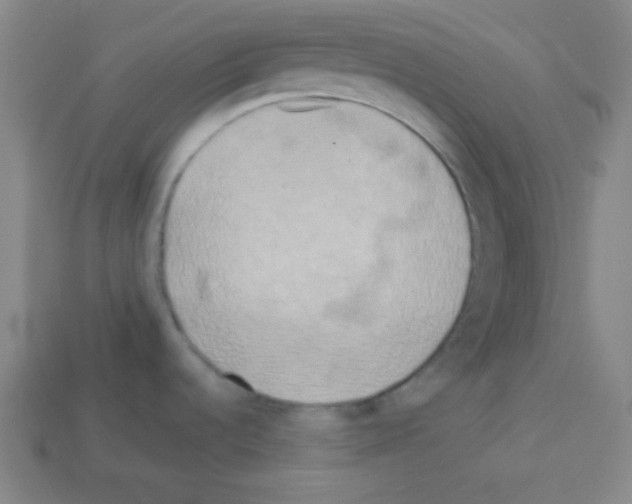 X0000112961536200910081035