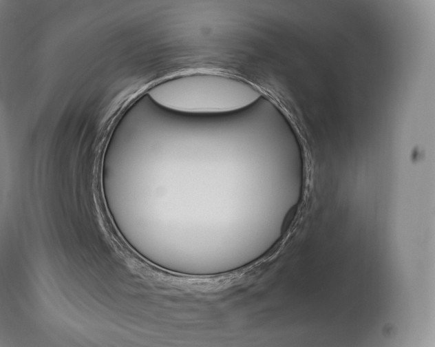 X0000112970001200908270955