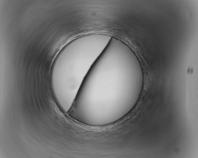 X0000112970002200908270955