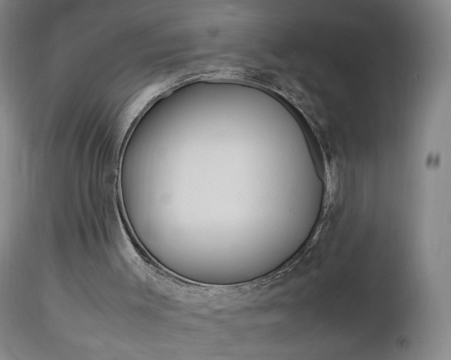 X0000112970003200908270955