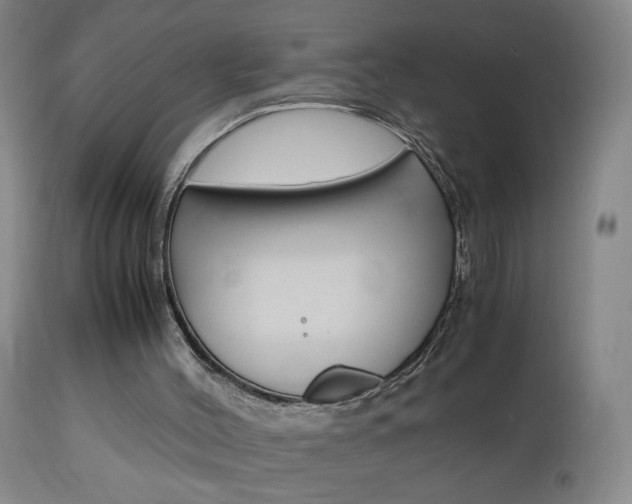 X0000112970004200908270955