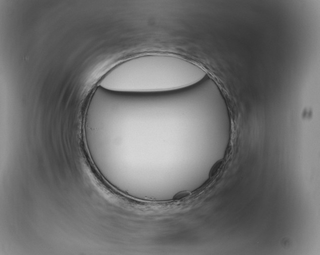X0000112970005200908270954