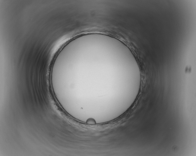 X0000112970006200908270954