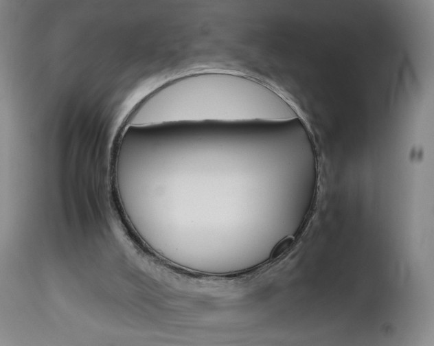 X0000112970008200908270954